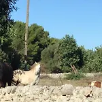 Borgo Delle Stelle * شيكلي